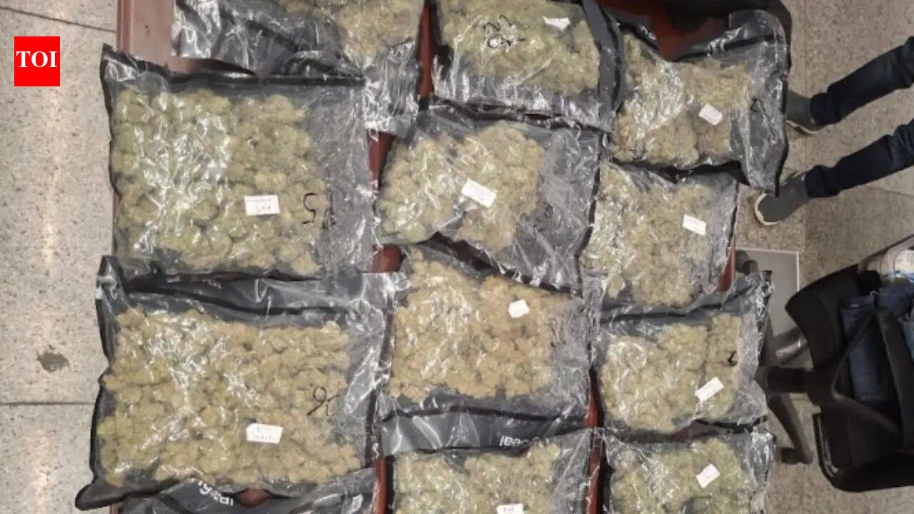 Gorakhpur youth held at Lucknow airport with hydroponic weed worth Rs 2.86 crore