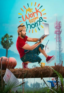 Mr. Work From Home