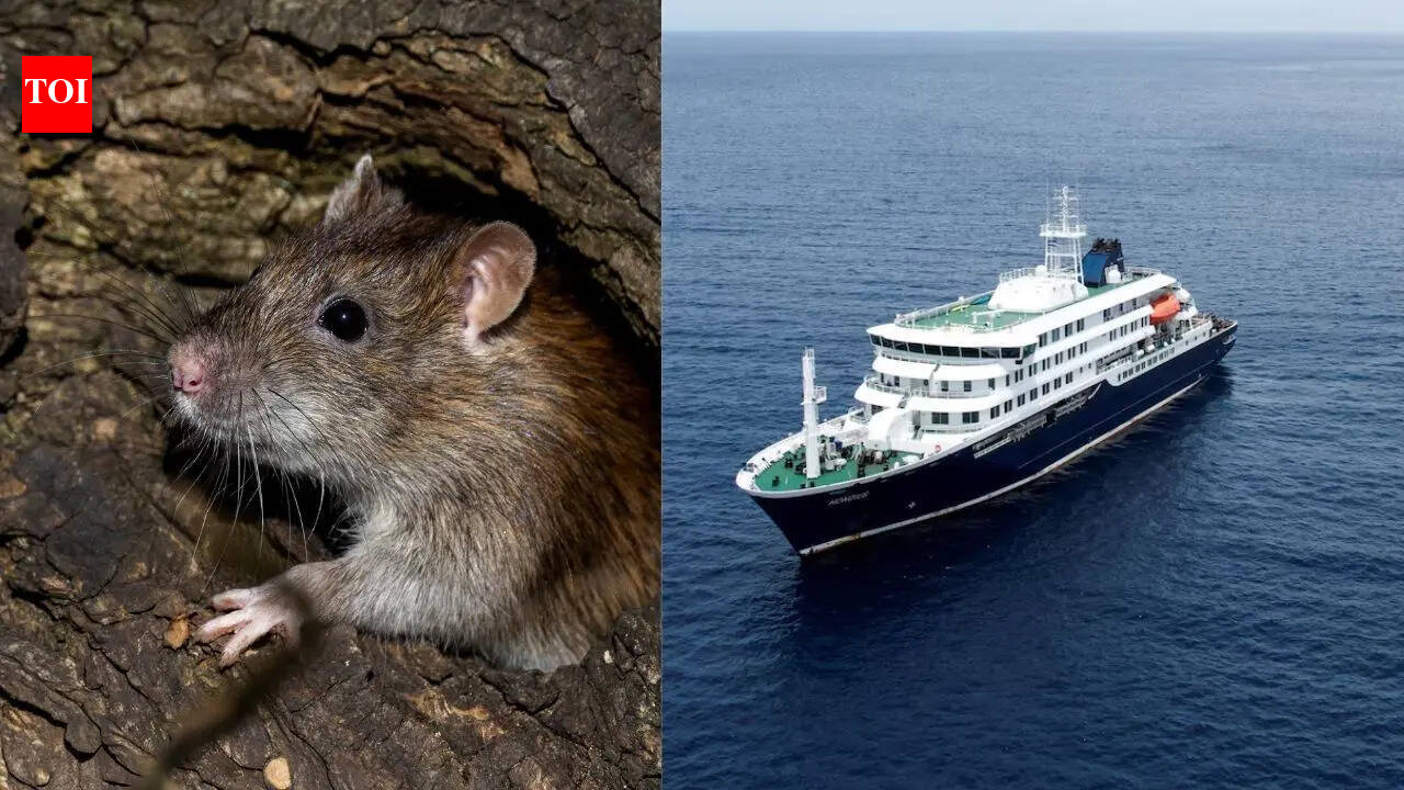 Hantavirus outbreak: WHO warns 12 countries after South Atlantic cruise ship confirmed cases