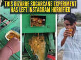 &lsquo;Matar Paneer Juice&rsquo; to internet meltdown: This bizarre sugarcane experiment has left Instagram horrified and entertained