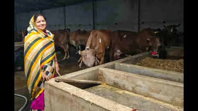 From six cows to 35: Prayagraj woman emerges as leading cattle breeder in region at 60