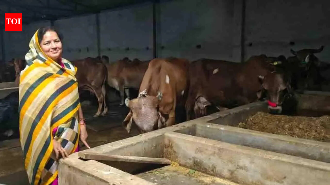 From six cows to 35: Prayagraj woman emerges as leading cattle breeder in region at 60