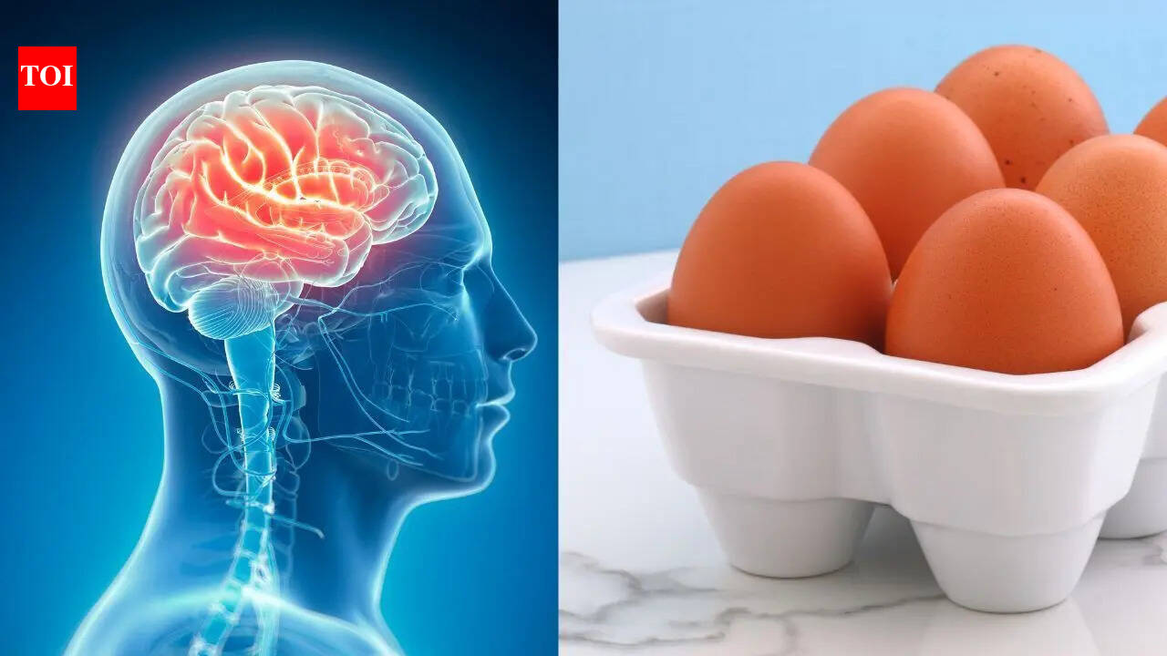 How Eating Eggs May Protect Against Alzheimer’s Disease