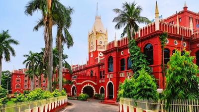 HC comes down heavily on state departments, civic agencies for failing timelines