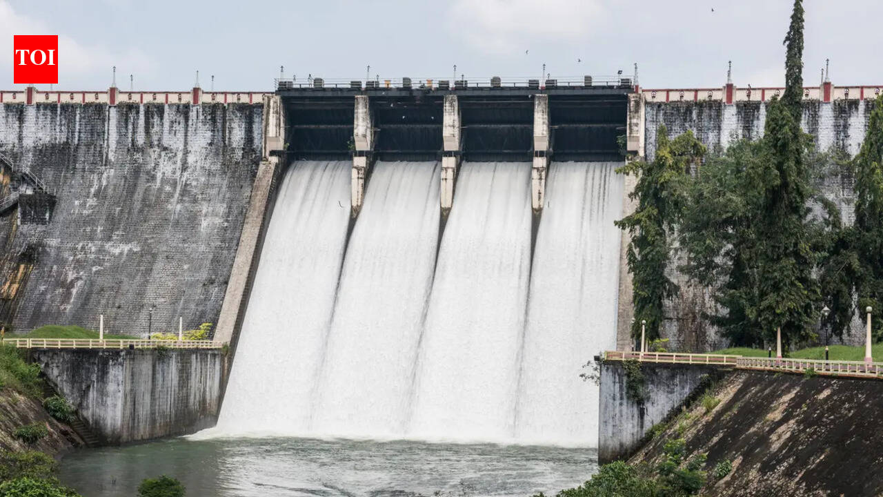 Subansiri project hits 1,000 MW production capacity as 4th unit goes live