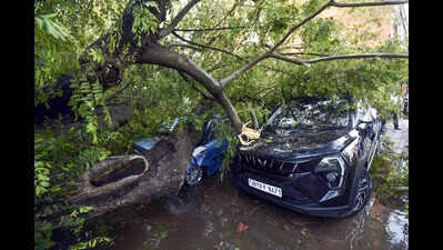Seven die as thunderstorm & lightning wreak havoc in state