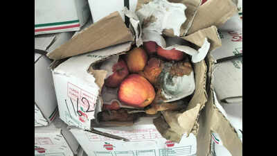 8,500kg rotten fruits, 1,500kg expired dates destroyed in Muhana Mandi raid