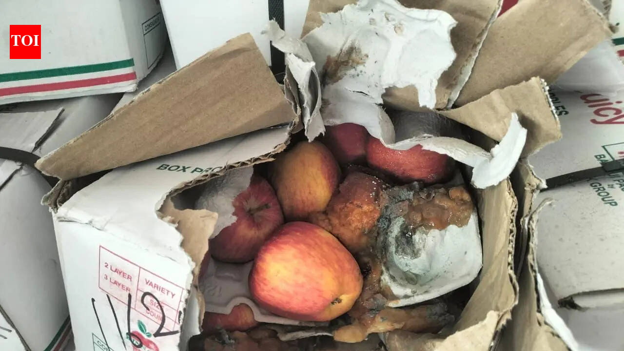 8,500kg rotten fruits, 1,500kg expired dates destroyed in Muhana Mandi raid