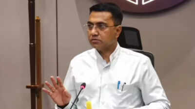 Outsiders have made Goa their Dubai: Sawant