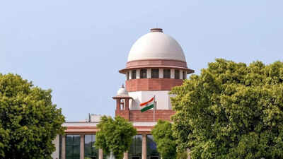 Murder, abetment accused can’t inherit victim’s property: Supreme Court | India News – The Times of India