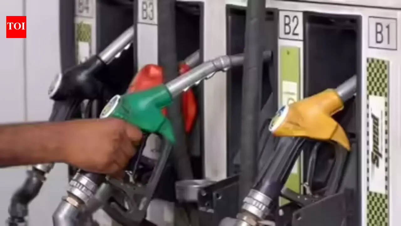 Can't hold fuel losses indefinitely: Officials; crude averages $105 a barrel in May so far
