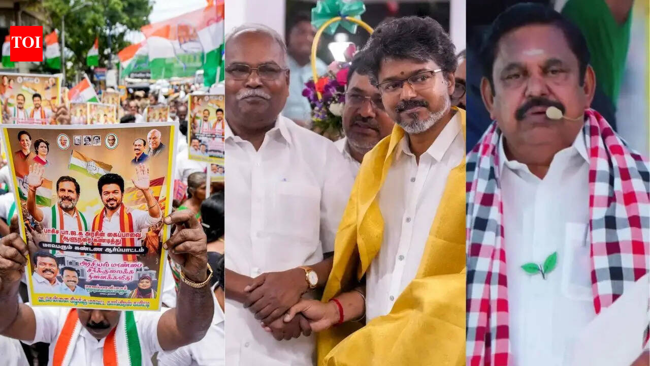 ‘It isn’t over yet’: How Tamil Nadu’s power battle turned into one hell of a ride
