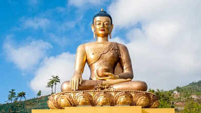 Quote of the day by Buddha: "Just as a snake sheds its skin, we must shed our past over and over again."