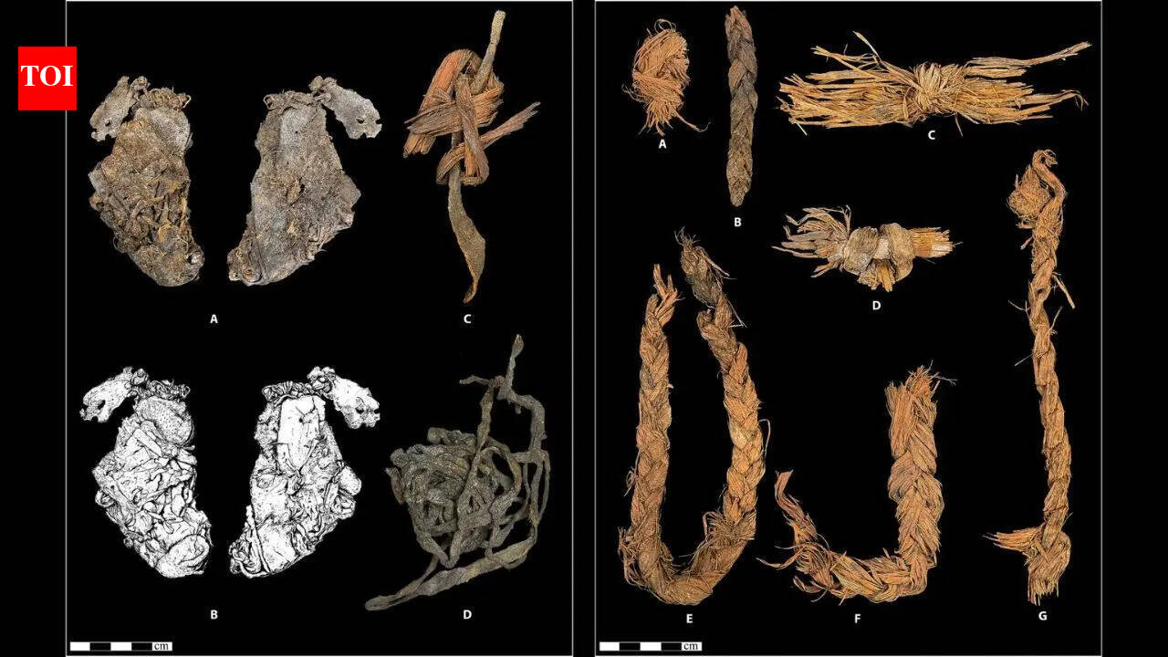 12,000-year-old elk hide found in cave may be world’s oldest clothing