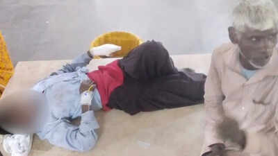 19-year-old girl and her sister-in-law fight off crocodile with sickles in UP