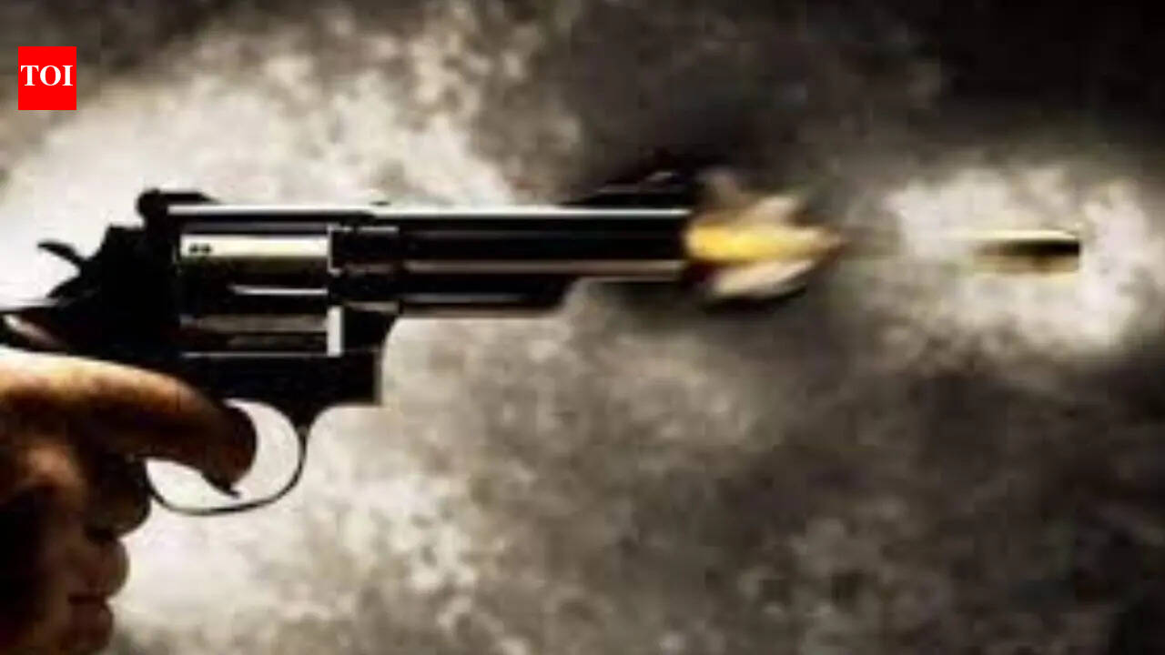 Robbery accused injured in police encounter in UP, 4 arrested