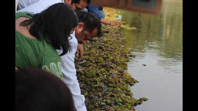 Panvel civic body ties up with Indian Council of Agricultural Research to get rid of Salvinia molesta growth in Vadale lake