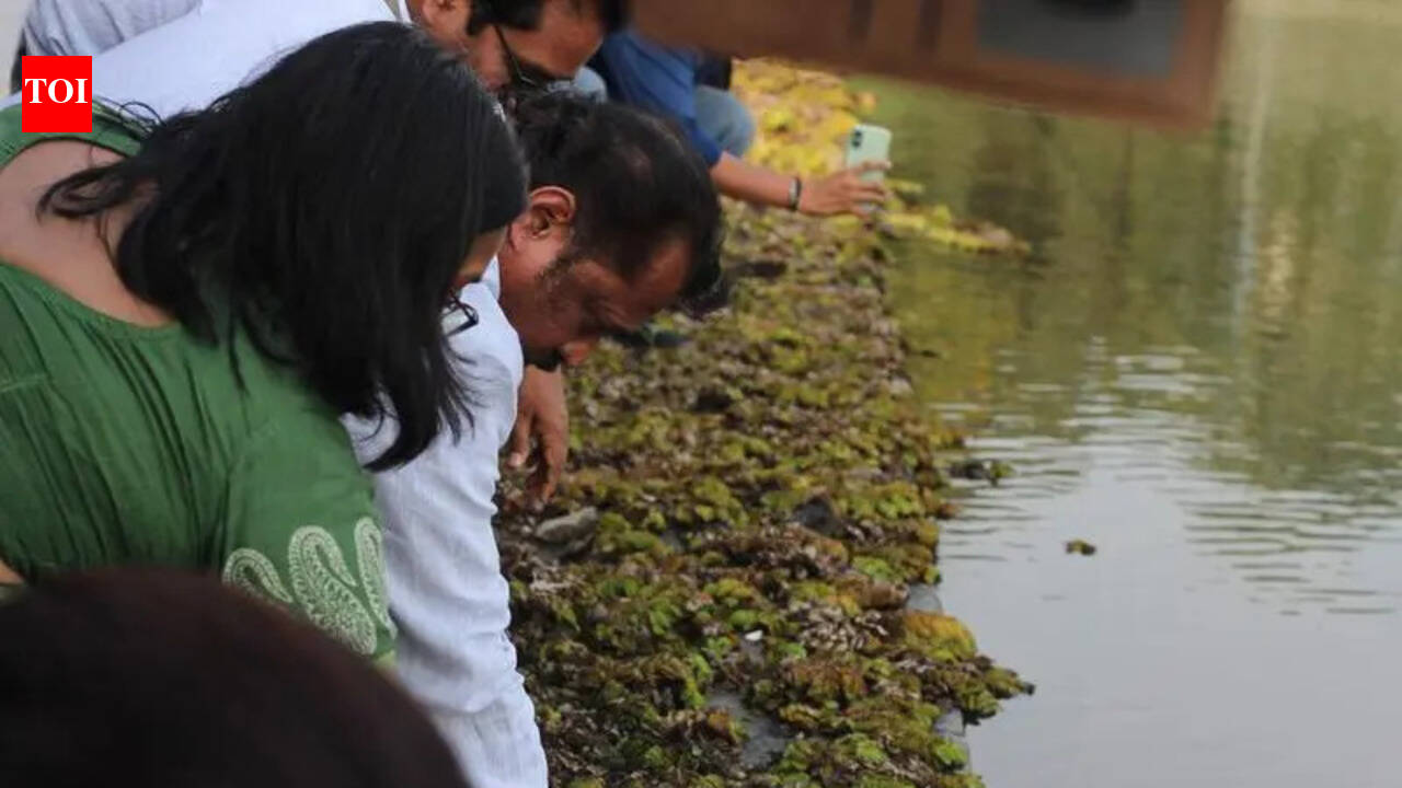 Panvel civic body ties up with Indian Council of Agricultural Research to get rid of Salvinia molesta growth in Vadale lake