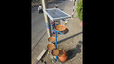 Solar-powered ‘Pakshi Jal Setu’ offers lifeline to birds amid scorching heat
