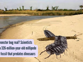 Was the monster bug real? Scientists discover a 326-million-year-old millipede bus-sized fossil that predates dinosaurs