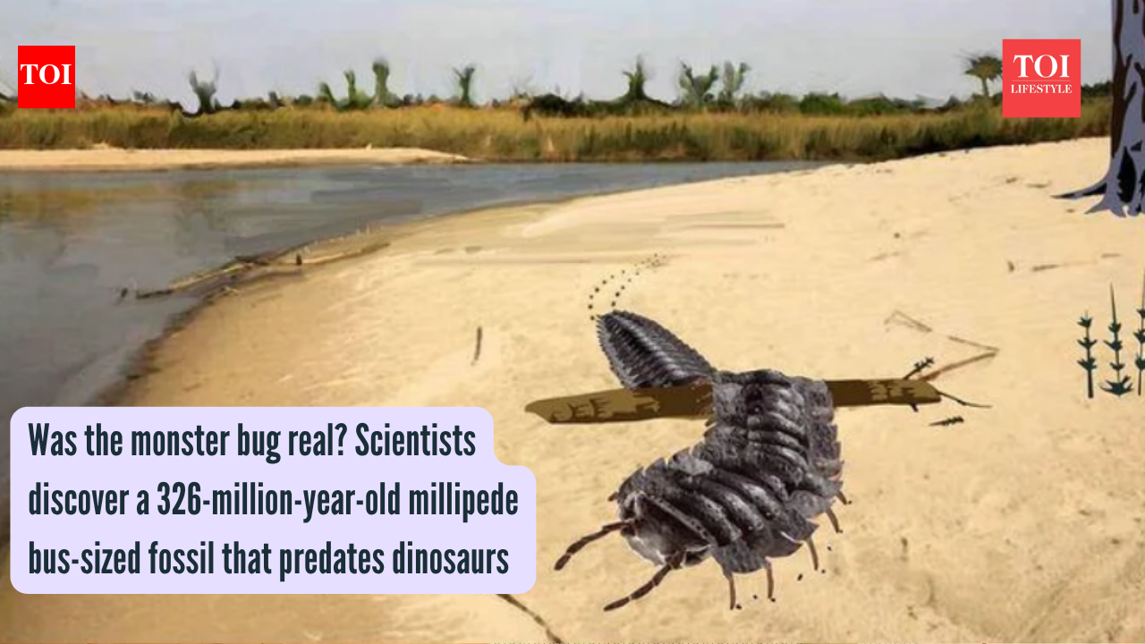 Was the monster bug real? Scientists discover a 326-million-year-old millipede bus-sized fossil that predates dinosaurs