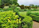 The simple evergreen-to-flowering trick that makes flower beds look good all year