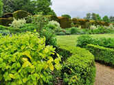 The simple evergreen-to-flowering trick that makes flower beds look good all year