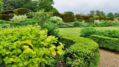 The simple evergreen-to-flowering trick that makes flower beds look good all year