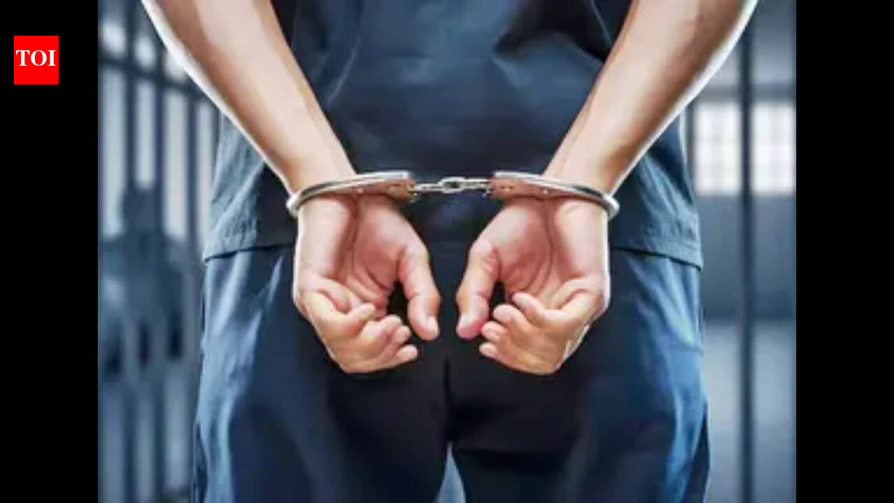 UK police charge two men over filming of antisemitic TikTok videos in London