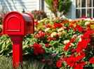 This shady curb mistake makes your mailbox bed look messy by midsummer