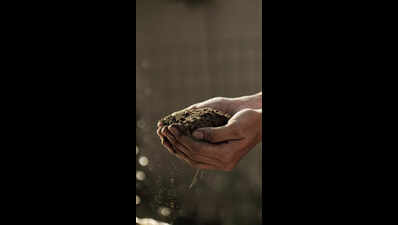 3,090 soil samples to be tested in Buxar