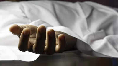 Elderly man beaten to death over dustbin placement in Nalanda