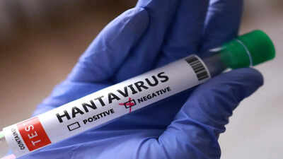 Hantavirus may've spread to remote island