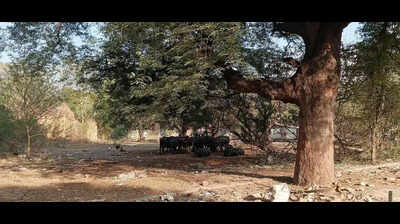 Open defence land in Pune and Khadki Cantonments becomes trash dumping grounds