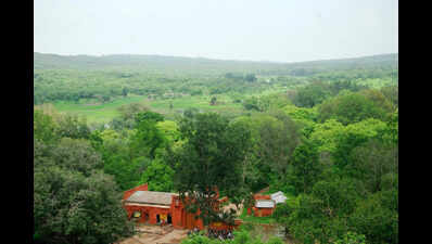 Sariska pushes village relocation to Jaipur, Dausa to expand tiger territory