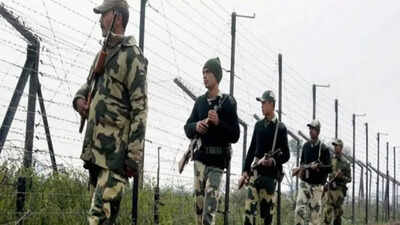 BSF fires 'in self-defence', kills 2 Bangladeshis on Tripura border