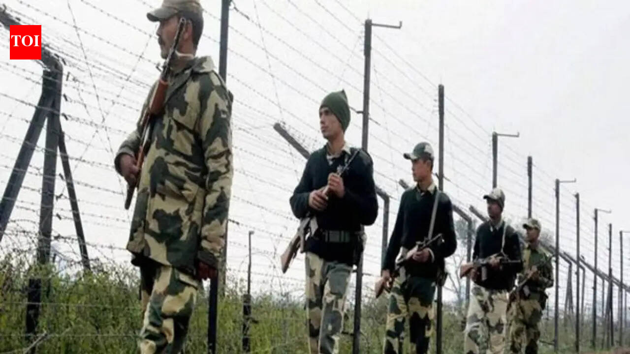 BSF fires 'in self-defence', kills 2 Bangladeshis on Tripura border