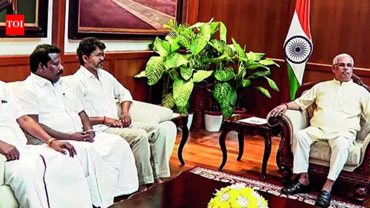 'Bid to prevent central rule, not validation of ideology': VCK will extend outside support to Vijay govt, continue in DMK alliance