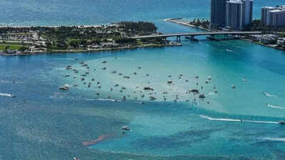  At slightest  15 injured adjacent   Haulover Sandbar - what we cognize  truthful  far