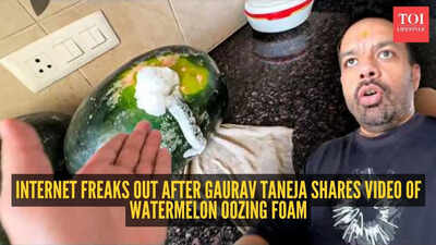 'Poisoned watermelon?' 'Flying Beast' Gaurav Taneja's bizarre foaming watermelon video leaves internet horrified