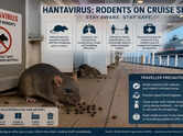 Hantavirus Alert: India&rsquo;s Union Health Ministry activates precautionary surveillance; what travellers need to know