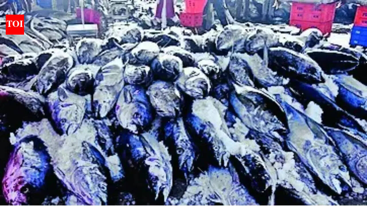 Study reaffirms Kerala's unique fish-eating culture