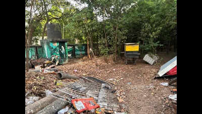 Thiru Vi Ka Nagar Miyawaki forest in Chennai turns hazard zone as snakes, alcohol bottles, litter dumped under ‘green carpet’