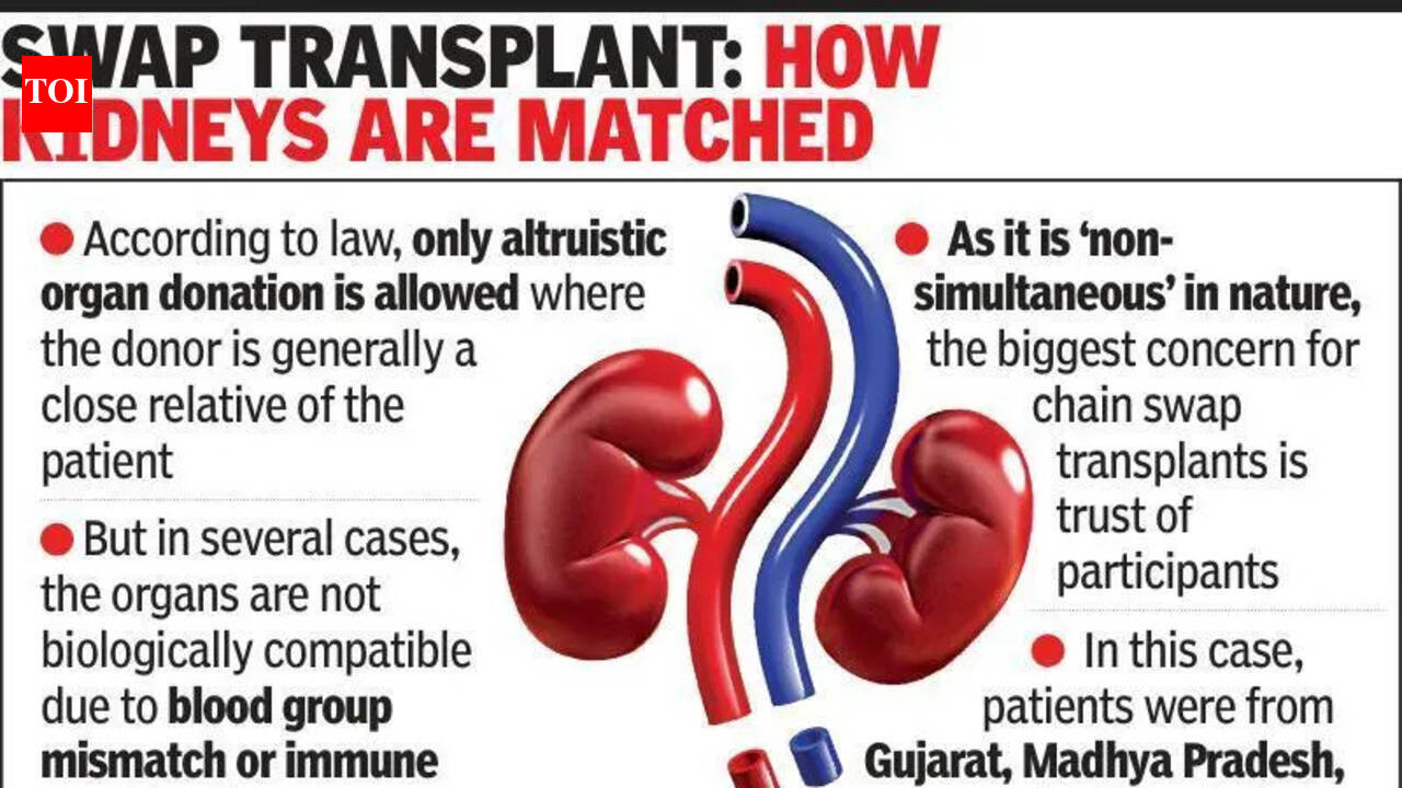 Gujarat’s IKDRC pulls off India’s longest kidney swap chain | Ahmedabad ...