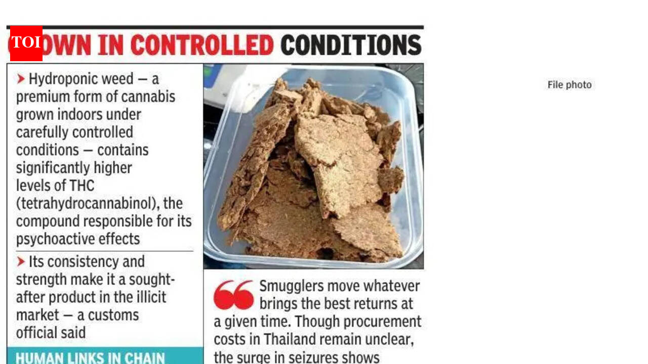 Smugglers strike gold in hydroponic weed at Pune airport