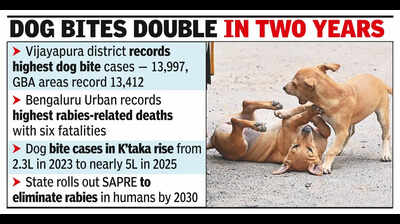 K'taka logs 2L dogbite cases, 25 rabies deaths in 4 months