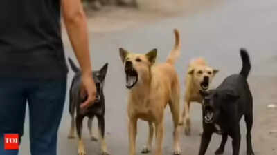 Karnataka logs 2L dogbite cases, 25 rabies deaths in 4 months