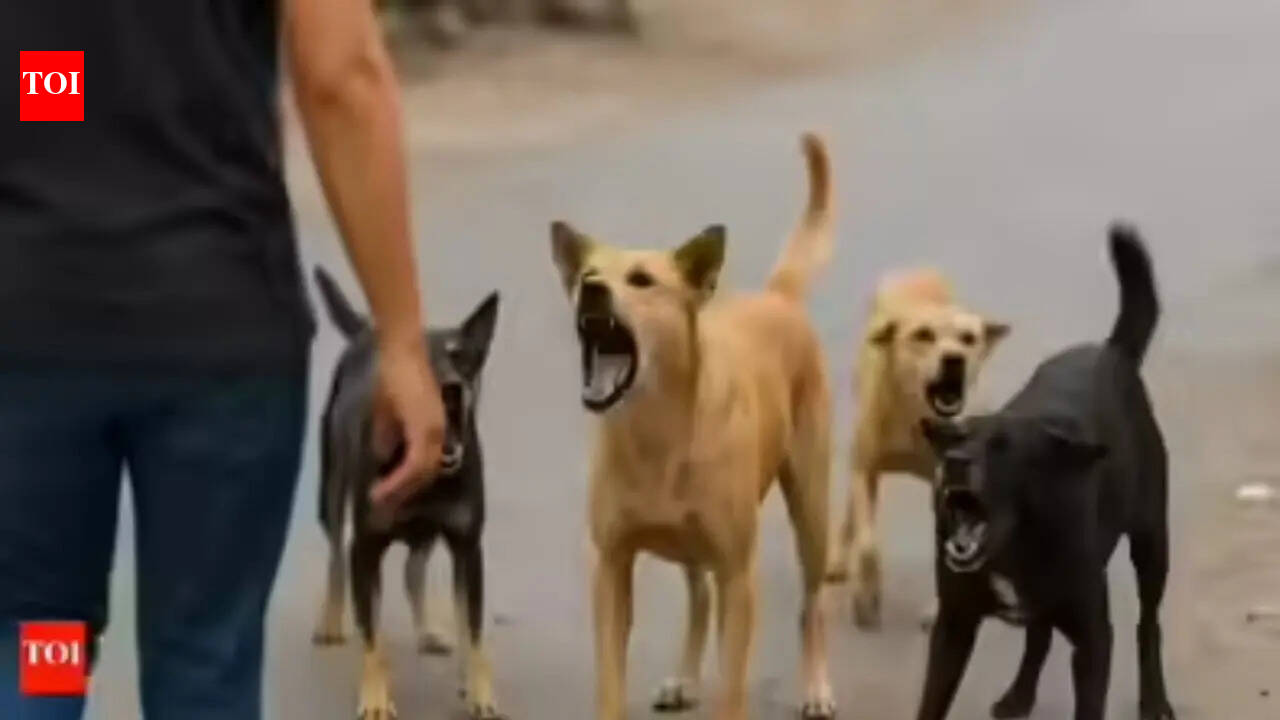 K'taka logs 2L dogbite cases, 25 rabies deaths in 4 months