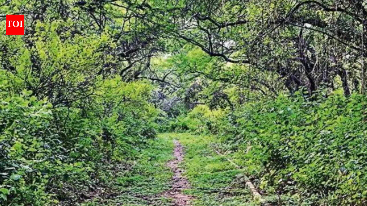 32 years on, Central Ridge gets 'reserved forest' tag