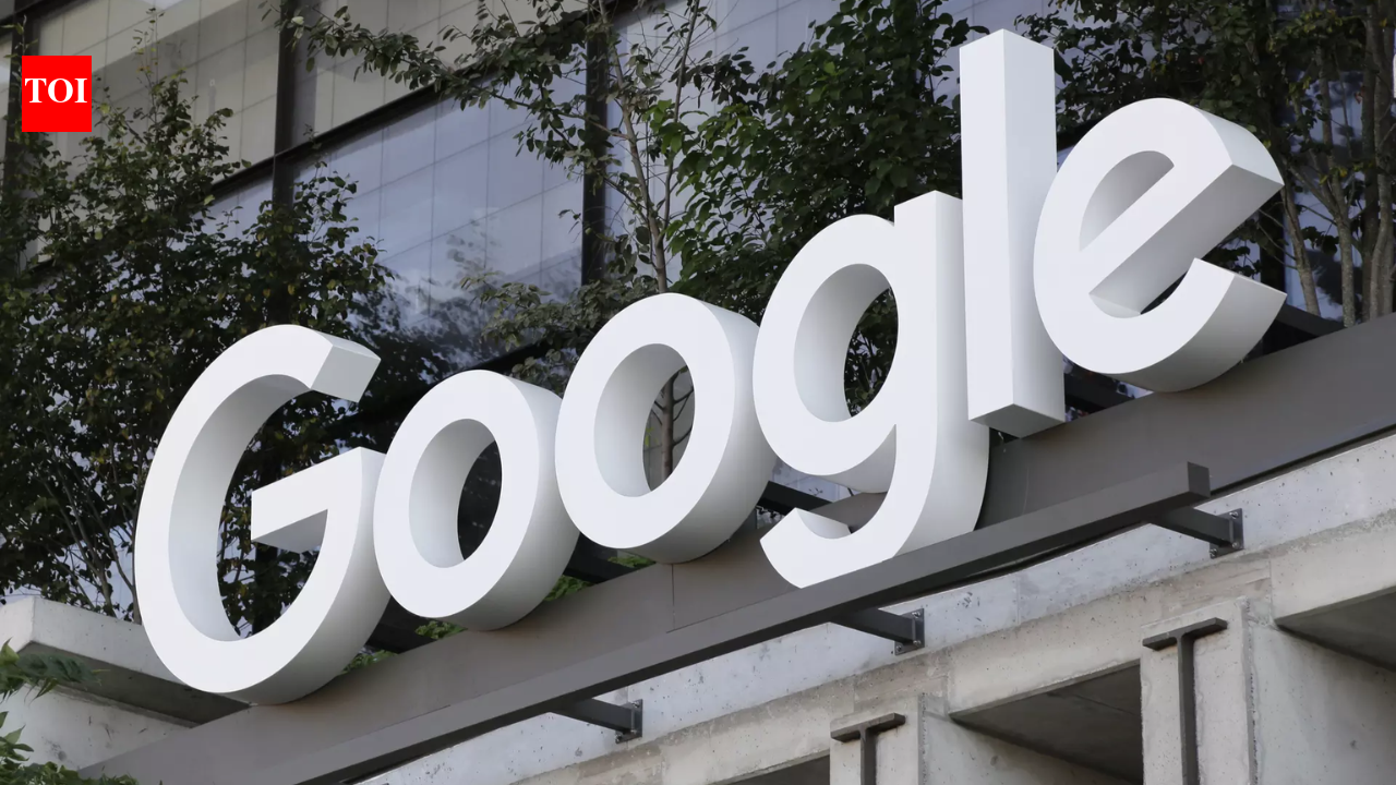 Google for Startups partners Antler India to launch Google for Startups Immersion in India: What is it